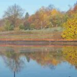 A.J. Montclair, Inc. logo